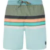Image de Protest, Hommes, Short, Herren PRTAvik Strandshorts grün, Vert, (S)