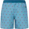 Image de Protest, Hommes, Short, Herren PRTParco Strandshorts blau, Bleu, (S)