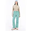 Image de Protest, Femmes, Pantalon de ski, Prtcinnamones Damen-Ski-/Snowboardhose (S)