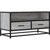Image de vidaXL, Meuble TV, TV-Schrank (100 x 34.50 x 40 cm)
