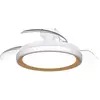 Image de Philips Ventilateur De Plafond Bliss Tw Gold