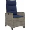 Image de vidaXL, Chaises de jardin, Martina Without footrest