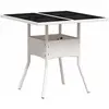Image de vidaXL, Table de jardin + table de balcon, Patricia (80 x 80 x 75 cm)