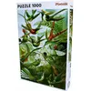 Image de Piatnik Haeckel - Colibris (1000 pièces)