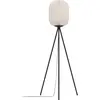 Image de EGLO, Lampadaire, Belgrave (E27)
