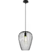 Image de EGLO, Suspension, Newtown (E27)