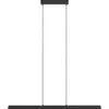 Image de EGLO, Suspension, Suspension CAMBULOS 2x LED 17W, 3000 K (4300 lm)