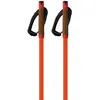 Image de Fischer Bâtons Storm Gtx L