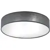 Image de Orion, Applique + plafonnier, DL 76274 Gris Plafonnier (E27)