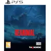 Image de Playstation Games Ps5 Reanimal