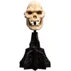 Image de Weta Workshop Figure Lord Of The Rings Mini Skull Of Lurtz 14 Cm