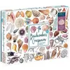 Image de Abrams & Chronicle The Beachcomber's Companion 1000 Piece Puzzle With Shaped Pieces (1000 pièces)