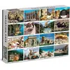 Image de Abrams & Chronicle 69504 - Vacation Cats - Puzzle, 1500 pièces (1500 pièces)