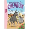 Image de Mes amis les chevaux 04 - Un rival inattendu - Hachette Livre