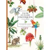 Image de Faune et flore exotiques à colorier - Collectif
