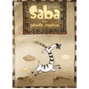 Image de Saba et la plante magique - Yann Dégruel