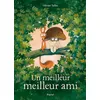Image de Un meilleur meilleur ami - Olivier Tallec