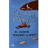 Image de Le bizarre incident du chien pendant la nuit - Mark Haddon