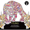 Image de Happy coloriage Félins - Collectif