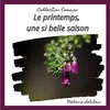 Image de Le printemps, une si belle saison - Mélanie Lebihain