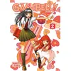 Image de Gash Bell!! - Tome 02 - Perfect Edition - Makoto Raiku