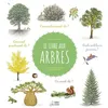 Image de Le Livre aux arbres - Nathalie Tordjman