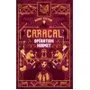 Image de Caracal : Opération Niamey - Myrtille Vardelle