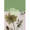 Image de Emily Dickinson - Pierre-Yves Pétillon