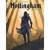 Image de Nottingham - Tome 1 - La Rançon du roi - Vincent Brugeas
