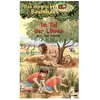 Image de Im Tal der Löwen, Livre pour enfants de Pope Osborne Mary