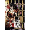 Image de Suicide Squad intégrale tome 2 - Adam Glass