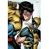 Image de Je suis Wolverine - Edition Anniversaire 50 ans - Edition collector - COMPTE FERME - Collectif