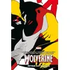 Image de Wolverine : Retour aux sources (Ed. cartonnée) - COMPTE FERME - Archie Goodwin