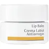 Image de Dr. Hauschka Dr. Hauschka - Lip Balm Anti-Wrinkles Dr. Hauschka Baume 4.5 Ml