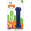 Image de Jouet Os Dental Moderate Chew Pour Chien - Nylabone - S