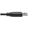 Image de Tripp Lite USB C to USB-A Cable 3.1 10 Gbps USB-IF Cert USB Type C M/M 3ft - Câble USB - 24 pin USB-C (M) pour USB type A (M) - USB 3.1 Gen 2 - 91.4 cm - noir