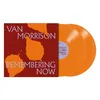 Image de Remembering Now Vinyle Orange