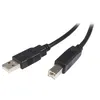 Image de StarTech.com Câble USB 2.0 A vers B de 2 m - M/M - câble USB - 2 m