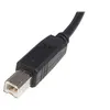Image de StarTech.com Câble USB 2.0 A vers B de 3 m - M/M - câble USB - 3 m