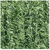 Image de Haie Artificielle Deluxe 126 Brins 6 M - 2 Rouleaux 3 X 1,80 M - Jardideco