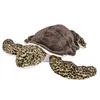 Image de Wild Republic Ck Sea Turtle Green