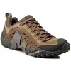 Image de Chaussures De Marche Merrell  Intercept J73705 - Marron - 44 1/2
