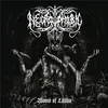 Image de Womb Of Lilithu (Re-Issue Cd Album22) - Vinyles