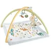 Image de Fisher-Price Hrb15 Gymnase Et Tapis D'Ã©veil Pour BÃ©bÃ© Tissu, Plastiqu