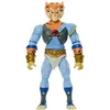Image de Les Maîtres de l'Univers x ThunderCats - Figurine Tygra 14 cm