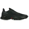 Image de Salomon Alphacross 5 - 41 1/3