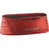 Image de Salomon Pulse Rouge