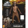 Image de Déguisement T-Rex Rubie's France Taille M
