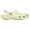 Image de Crocs Crocs Classic