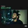 Image de Kiss Land